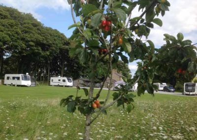 Yorkshire Caravanning & Camping | Pot Haw Farm